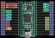 Brain2Pins