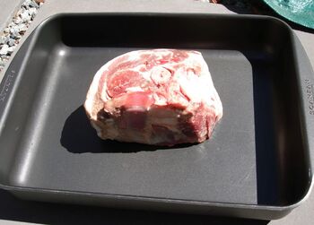 Solar Nest uncooked meat