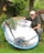 SolarCooker Eco3