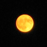 Moon-large,yellow