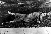 THE Murder Victim