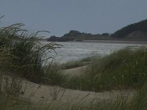 Anglesey Beach