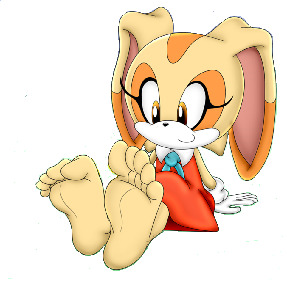 Cream The Rabbit Sonic Needlemouses Sonic Wiki Club Wikia Fandom 