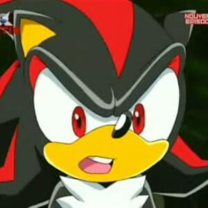 Shadow The Hedgehog Gallery Sonic X Wikia Fandom