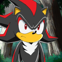 Shadow The Hedgehog Gallery Sonic X Wikia Fandom
