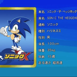 Eyecatch Cards Sonic X Wikia Fandom