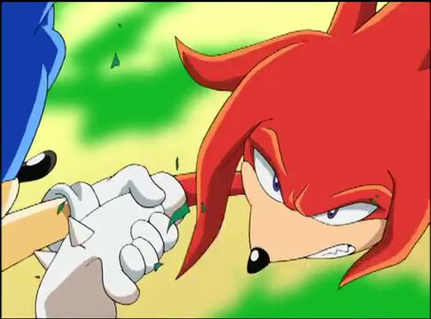 Image - SONIC X Ep5 - Cracking Knuckles 1183949.jpg | Sonic X Wikia