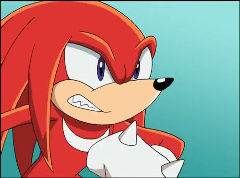 Image - SONIC X Ep5 - Cracking Knuckles 758491.jpg | Sonic X Wikia