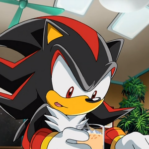 Shadow The Hedgehog Sonic X Gallery Sonic News Network Fandom