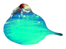 Artificial Chaos STH