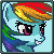 Free rainbowdash icon by pixmeister-d4yh0wv