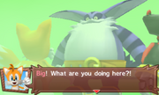 Mario Sonic London 3DS Story Mode 804