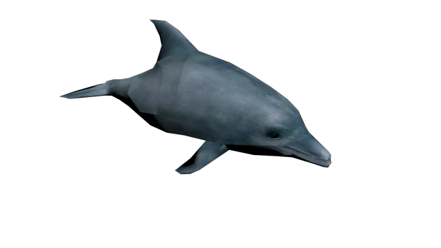 File:Dolphin.png