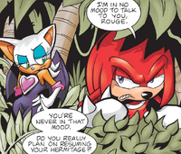 Rouge and Knuckles