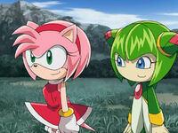 Amy Rose (Sonic X) | Sonic News Network | Fandom