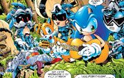 Sonic Robian family