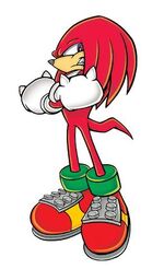 Blog Knuckles