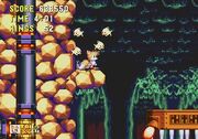 Supertails 2ew7689rf