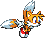 Tails fly battle