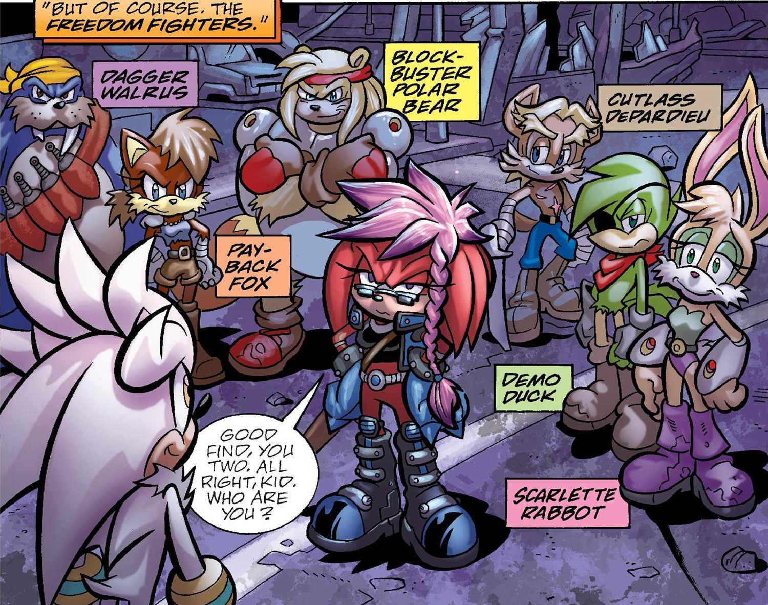 Sonic freedom fighters names