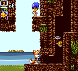 Tails Remote Robot