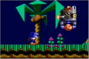 180px-Sonic in Sonic Chaos