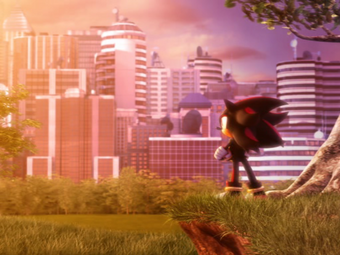 Shadow The Hedgehog Game