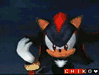 Banner-11681