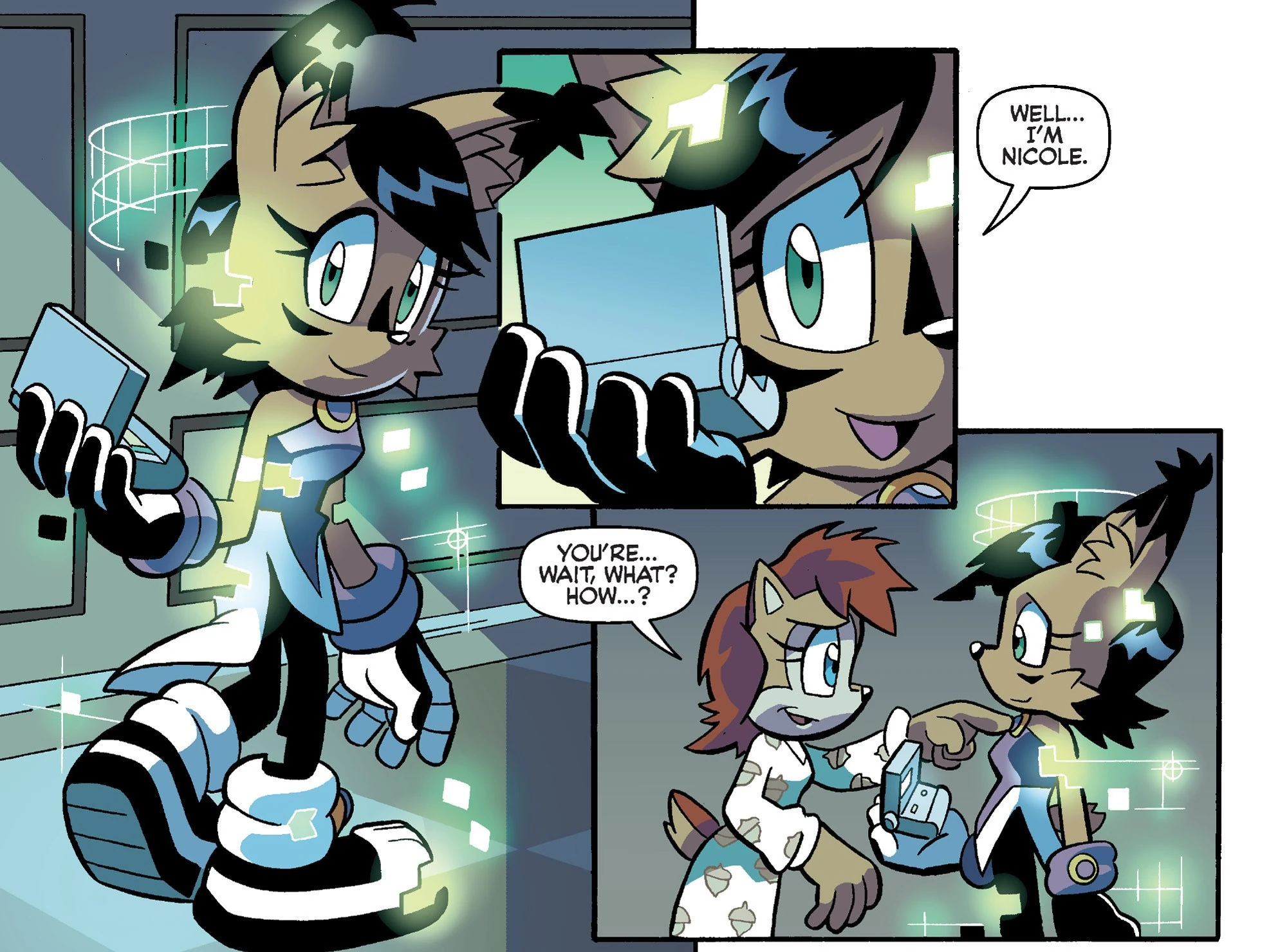 Imagen Sally meets Lynx Nicole.jpg Sonic Wiki FANDOM powered by Wikia