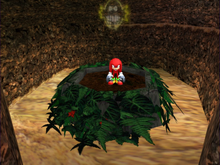 Dig spot