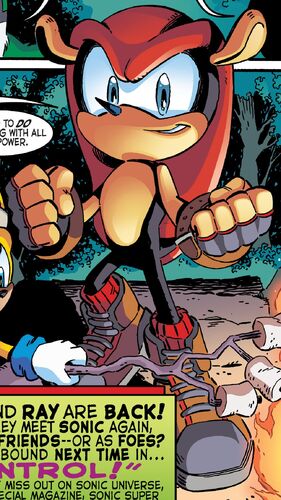 Mighty the Armadillo, Sonic X: Heroes Forever Wiki