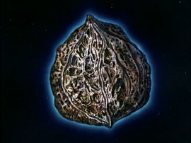 Final Nova 2