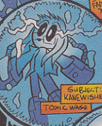 Kanewisher