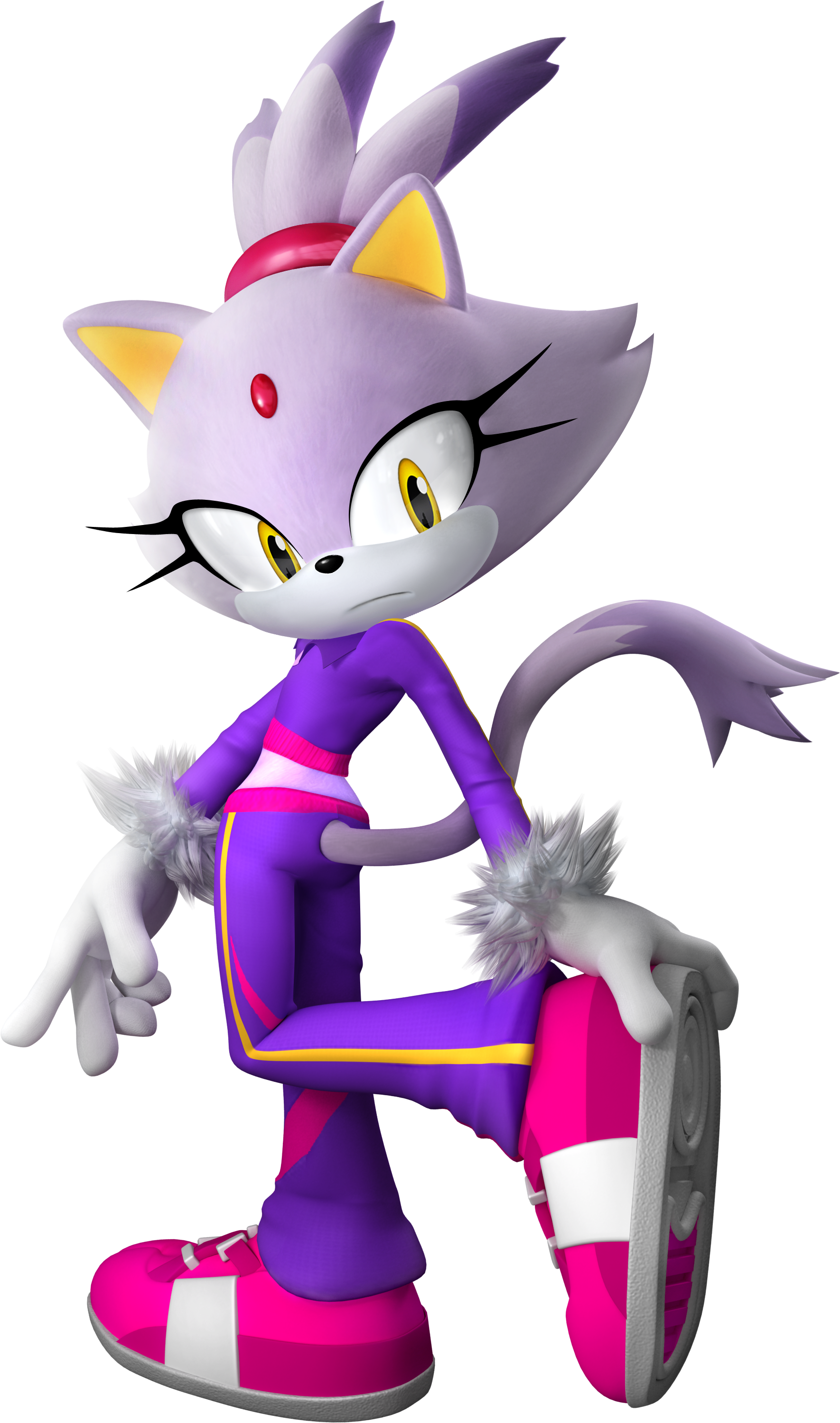 Unbelievable! Blaze The Cat'S Age Finally Explained - 94dvo8w