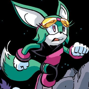 Sonar The Fennec Sonic News Network Fandom