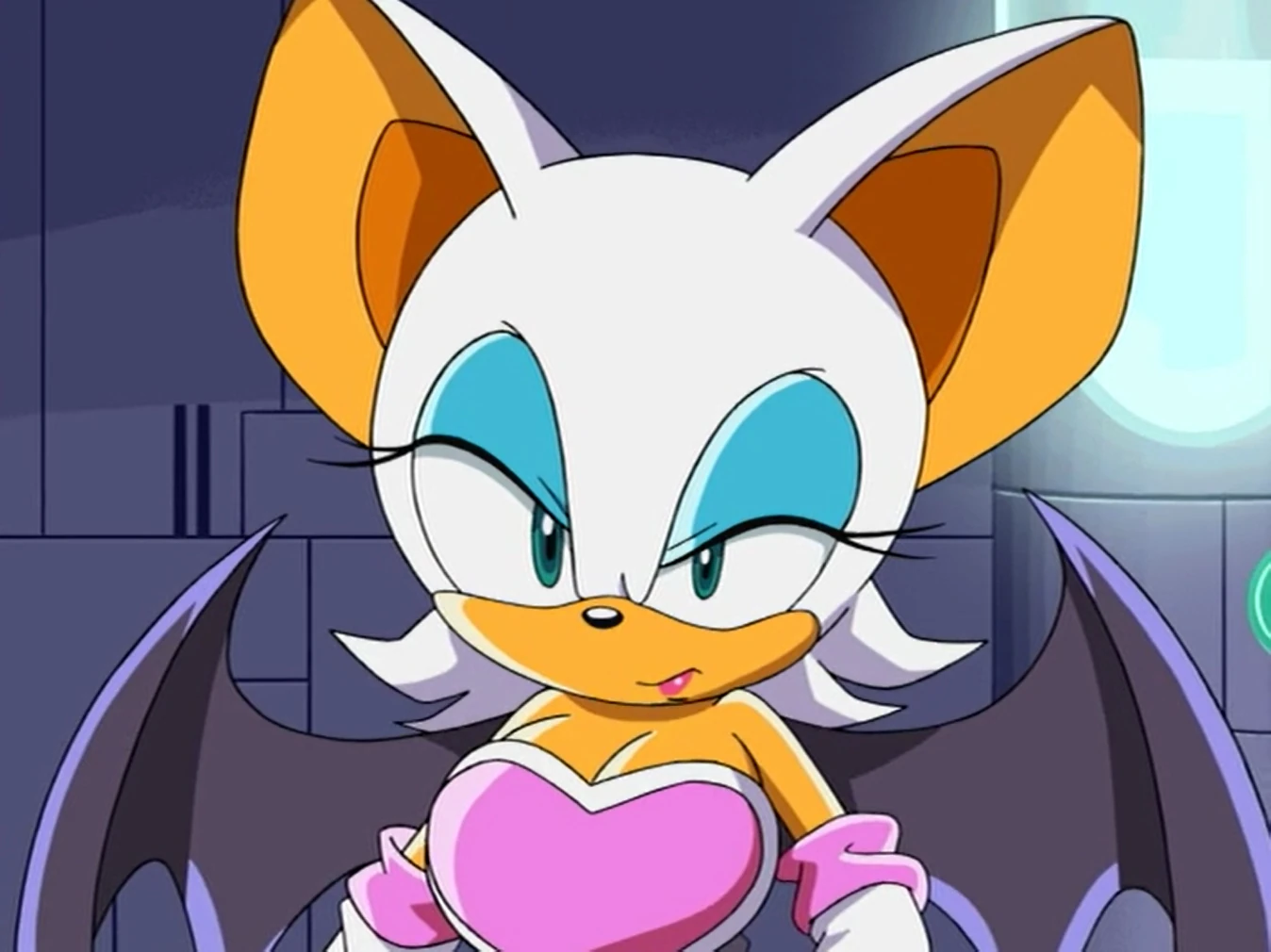 Rouge The Bat Doujinshi