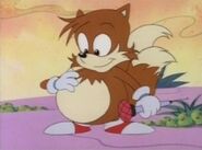 Sonic boom amy rose