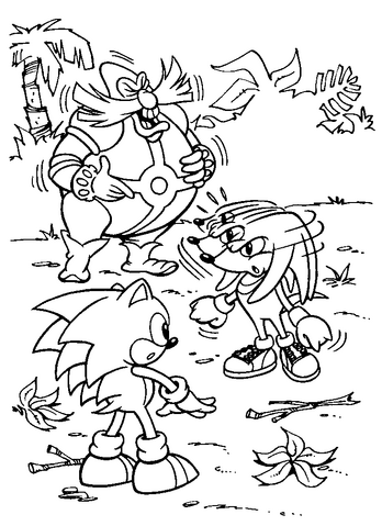 File:Sonic&Knuckles(Troll)9.png