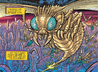 Bzzzz Profile