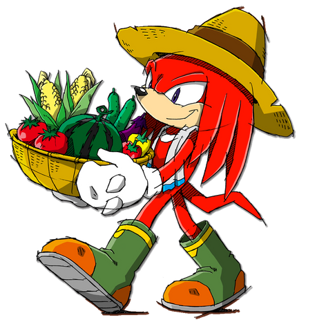 Image - Knukles Channel.png | Sonic News Network | FANDOM powered by Wikia