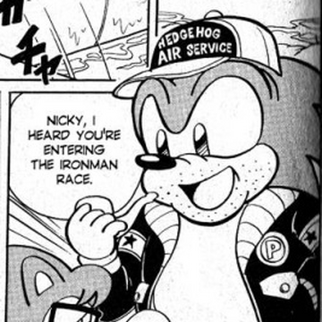 Paulie Sonic News Network Fandom