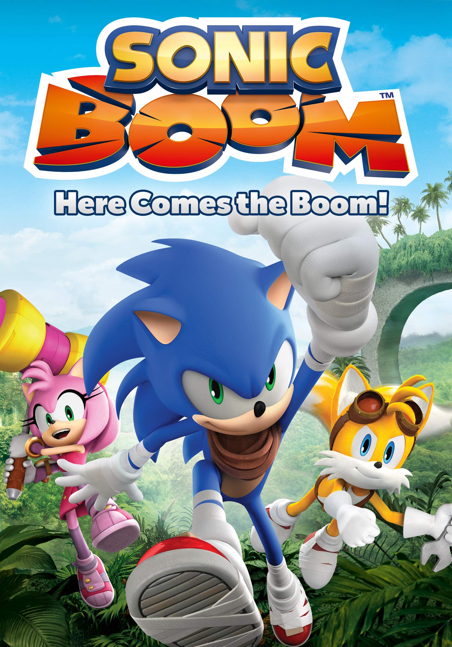 Sonic Boom: Here Comes the Boom! | Sonic News Network ...