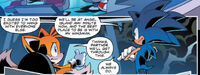 IDWsSonicandTails