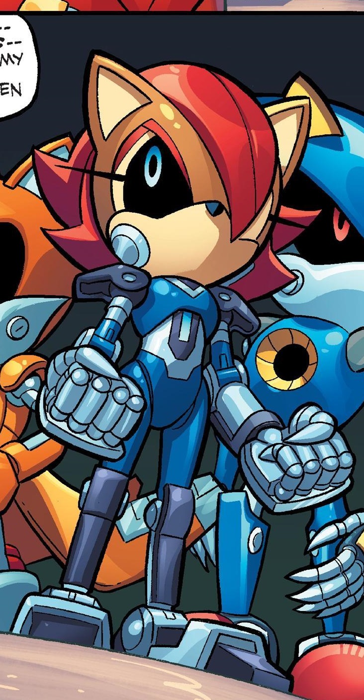 Mecha Sally Sonic News Network Fandom Powered By Wikia