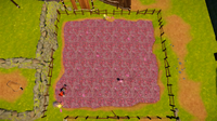 Burrow spots RoL