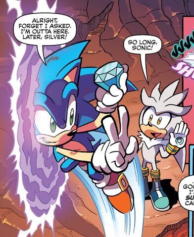 File:Sonic entering portal.jpg
