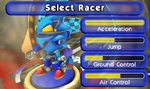 Sonic-botBotRace