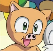 Picky Sonic X