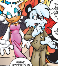Rouge undercover