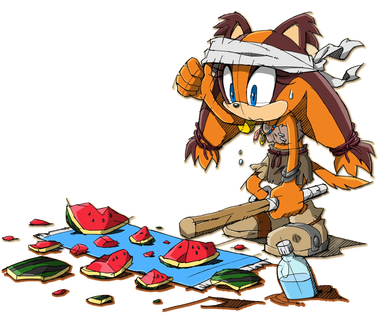 Image Sticks Sonic Channel 2.png Sonic News Network FANDOM